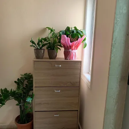 Mini Penthouse Apartman *
